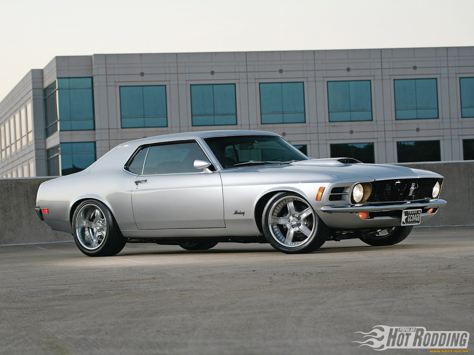 , mustang